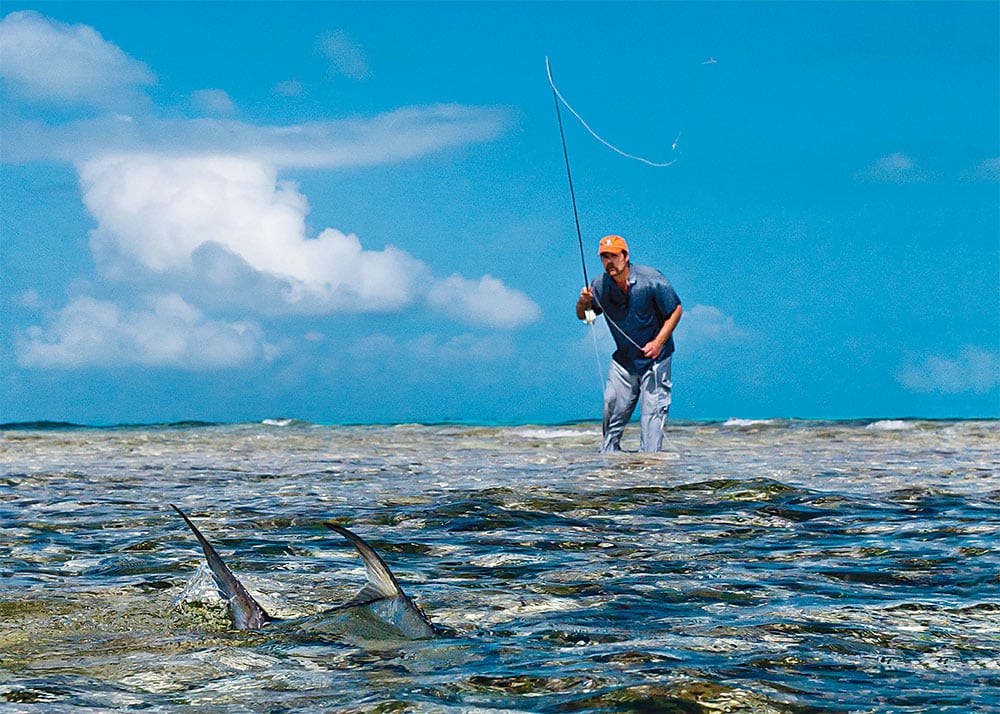 Fly fishing at its best